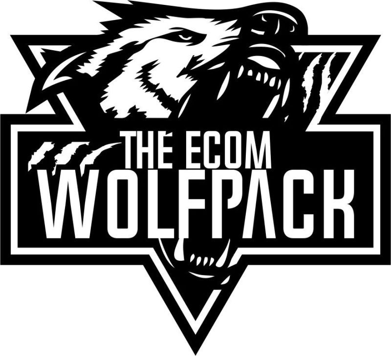 the ecom wolf pack dropshipping to branding course 62807c55d5e2f - The Ecom Wolf Pack – Dropshipping To Branding Course